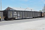 NS 210299